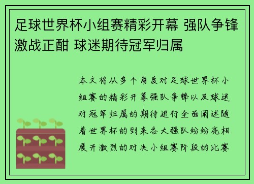 足球世界杯小组赛精彩开幕 强队争锋激战正酣 球迷期待冠军归属